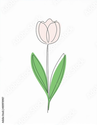 tulip flower drawing painting wall art