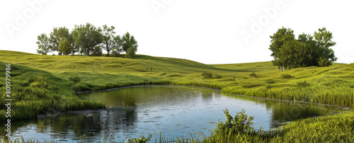 Serene river flowing through a vibrant green landscape, cut out - stock png.