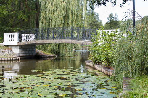 bridge with pond in city park in summer