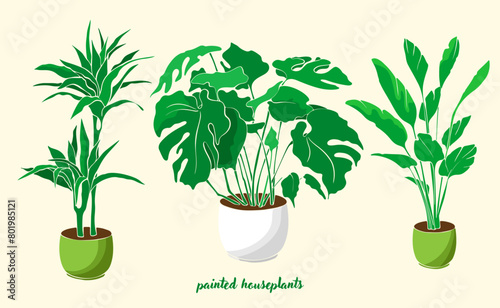 set of green plant in a pot, painted indoor flowers in pots