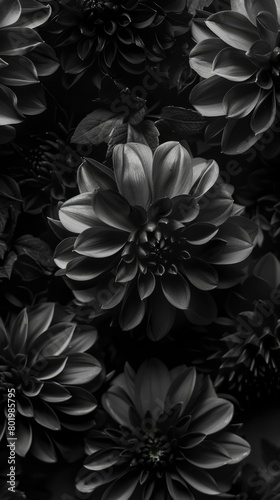 Dark texture with dynamic contrast and abstract appeal.