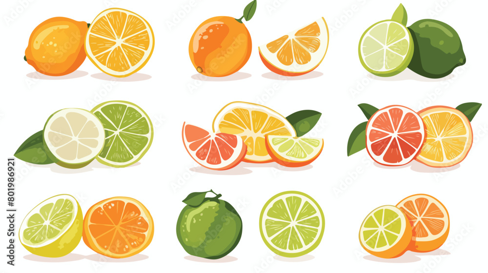 Different citrus fruits on white background Vector illustration