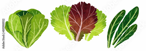 lettuce and kale