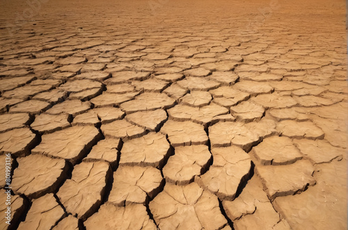 Dry cracked earth land.