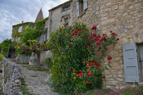 Fototapeta Naklejka Na Ścianę i Meble -  Dörfchen Crestet in der Provence