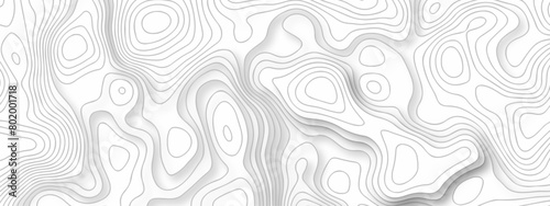 White wave paper curved reliefs abstract background. The topographic map contour in lines isolated. Abstract white topographic map background with lines. Background of the topography map.