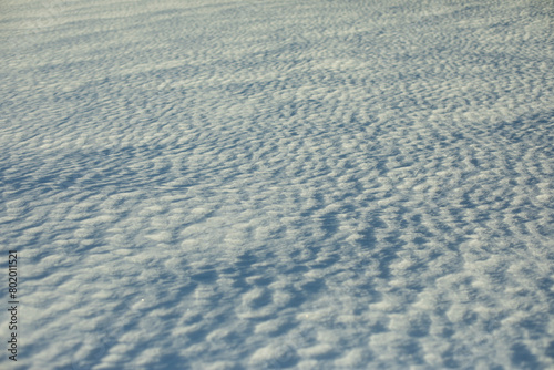 The texture of the snow. Snowy field. Thawed surfaces.