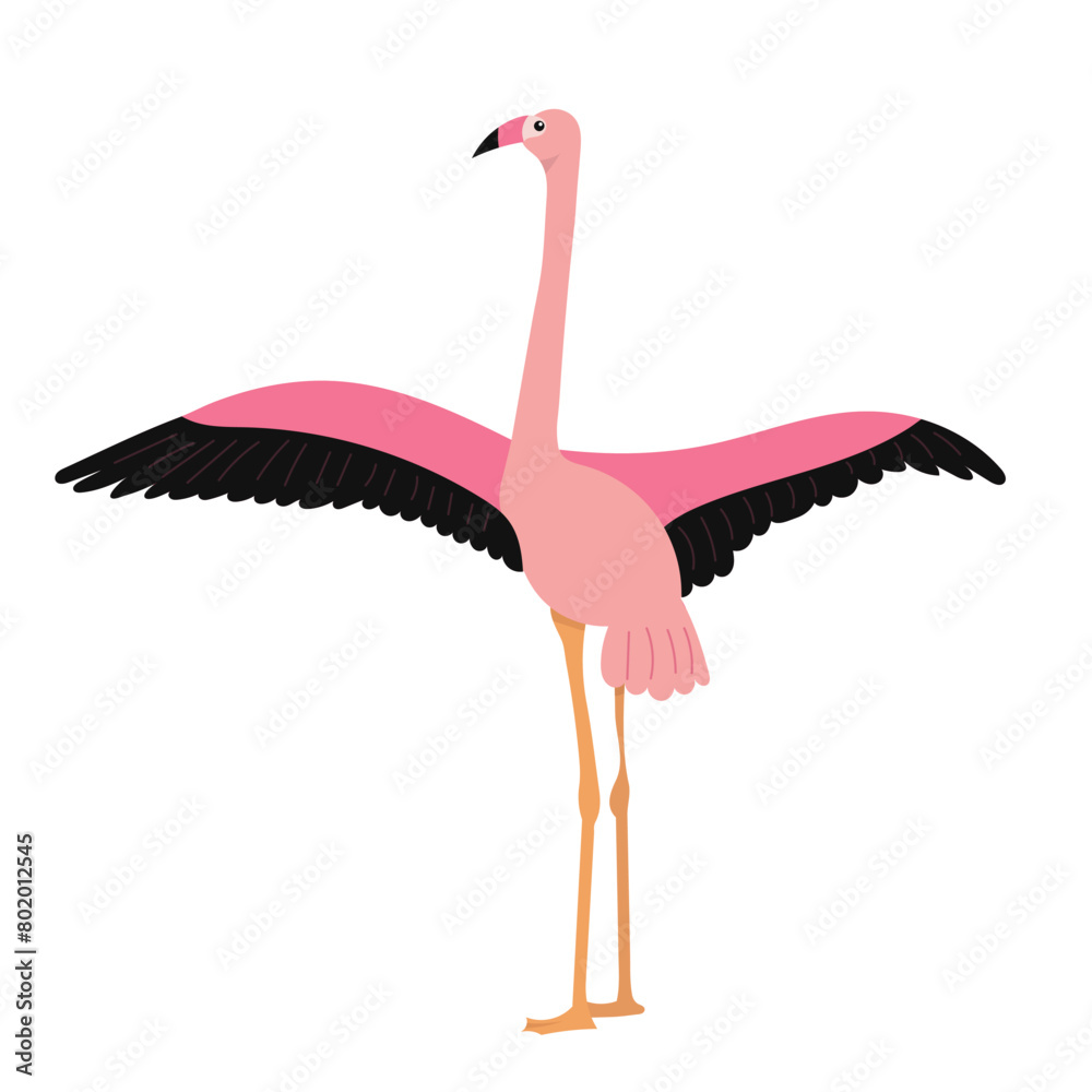 Fototapeta premium pink flamingo flaps its wings on a white background vector