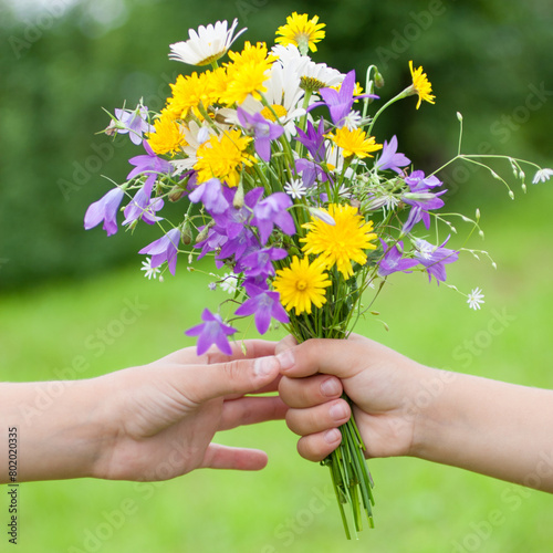 The child holds out a bouquet of meadow flowers. Blurred green background