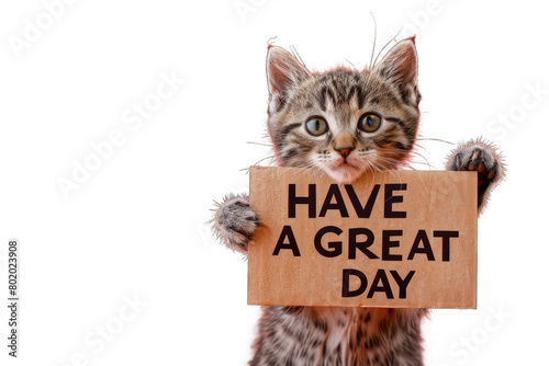 Cute Kitten with "Have a Great Day" Sign on Transparent PNG