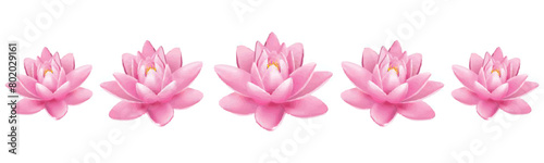 Pink lotus flower design for Vesak Day vector illustration 