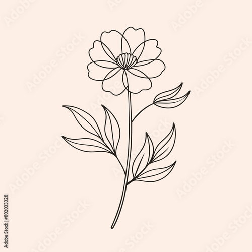 Single line art wildflower illustration