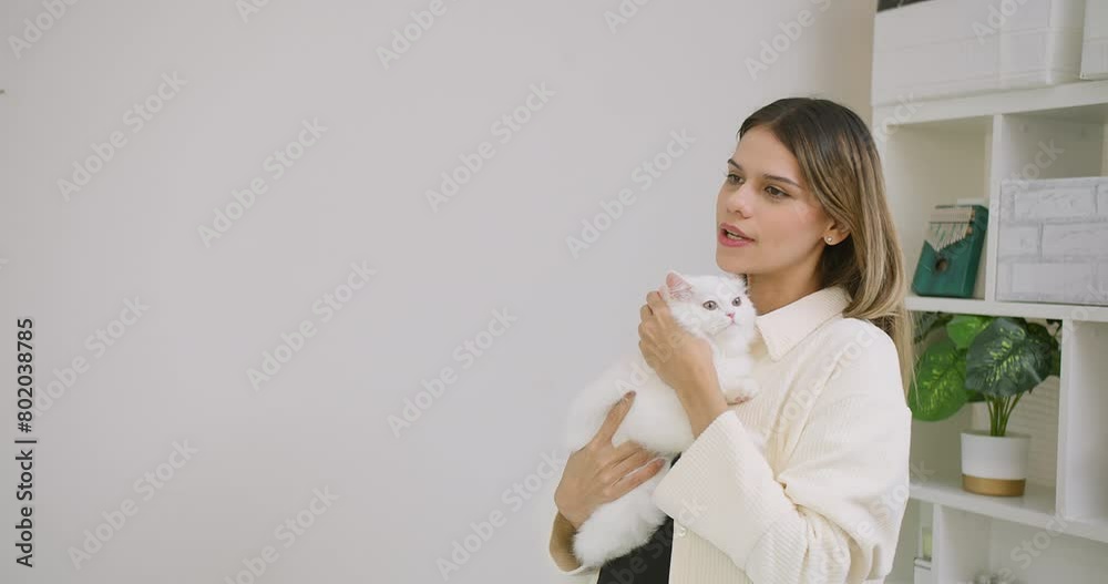 Cute pretty young beautiful woman is holding hugging embrace cute little fluffy a white cat in her arms. The woman is smiling and seems to be enjoying the moment, Relationship between pets and people Cute pretty young beautiful woman is holding hugging embrace cute little fluffy a white cat in her arms. The woman is smiling and seems to be enjoying the moment, Relationship between pets and people