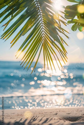 Green palm leaves contrast with the sandy beach in the background. For summer holidays. photo