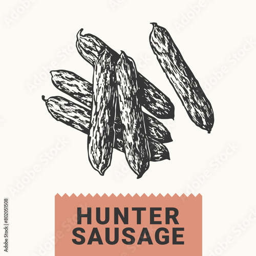 Vector hand drawing of hunter sausages dried in air.