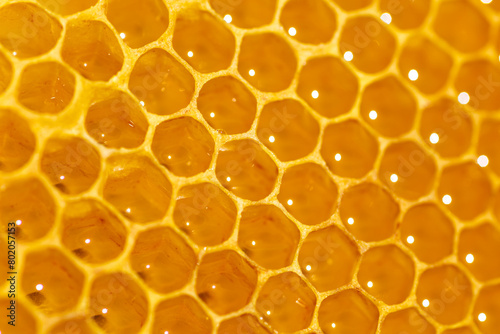 Texture of honeycombs close up.fresh honey in cells. Yellow wax honeycombs from the hive.Close up of honeycomb