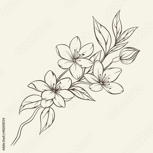 Hand drawn bouquet with flowers and leaves. Vector linear monochrome elegant floral arrangement in vintage style  tattoo design  coloring book  wedding decoration.