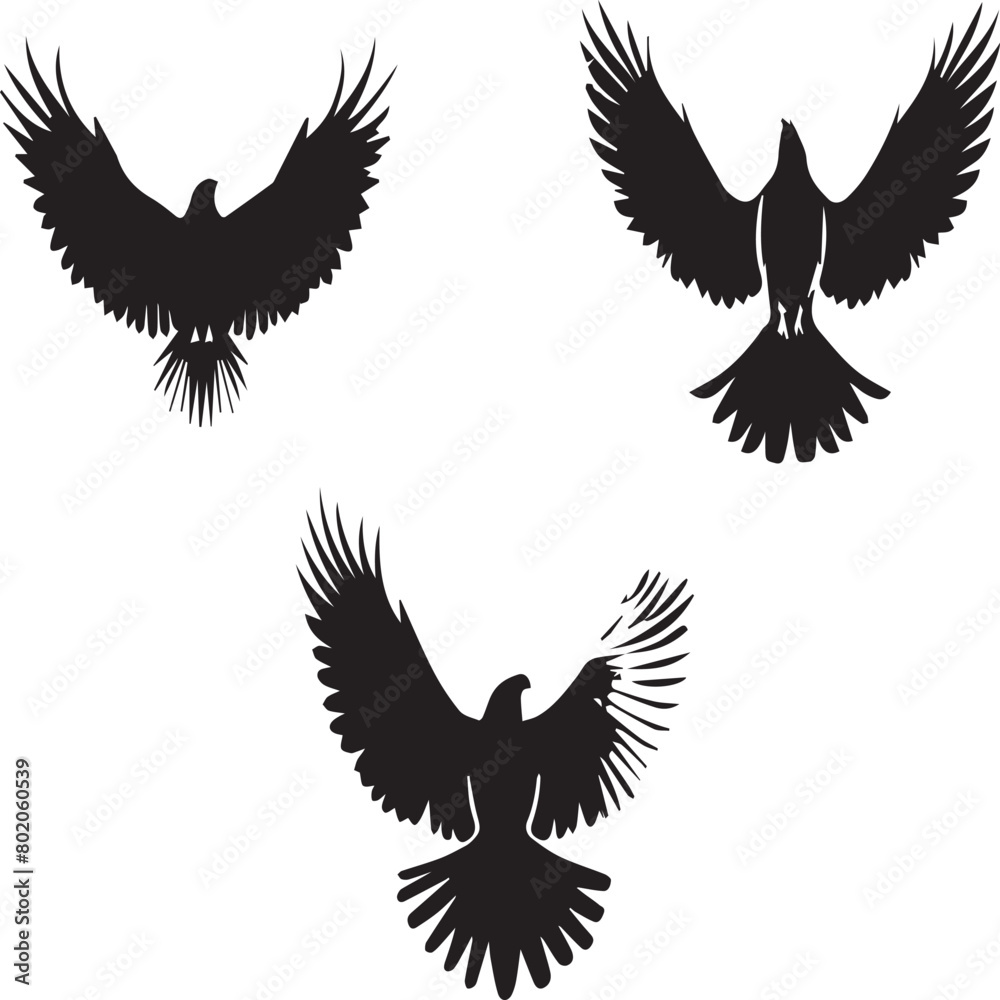 eagle vector illustration eagle vector illustration