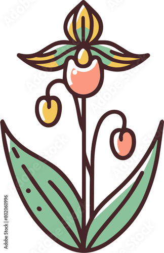 A drawing of a pink and yellow lady slipper orchid.