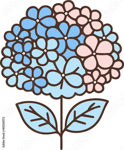 A simple illustration of a hydrangea in blue and pink.