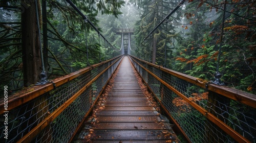 Vancouver Canada Capilano Suspension Bridge towering evergreens photo