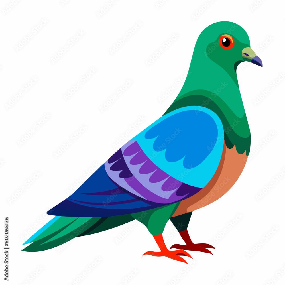Pigeon Vibrant Vector Illustration Pigeon Vibrant Vector Illustration