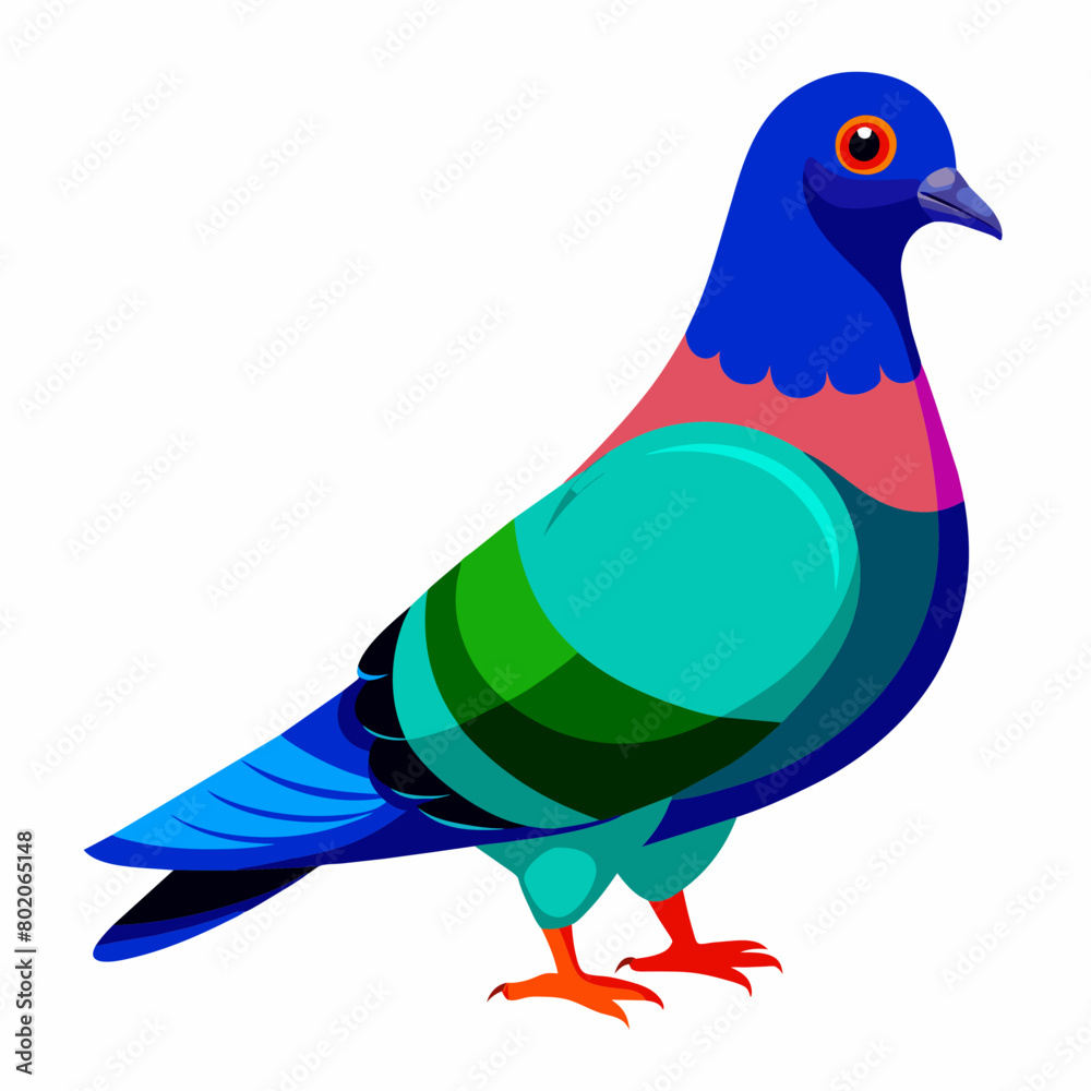 Fototapeta premium Pigeon Vibrant Vector Illustration