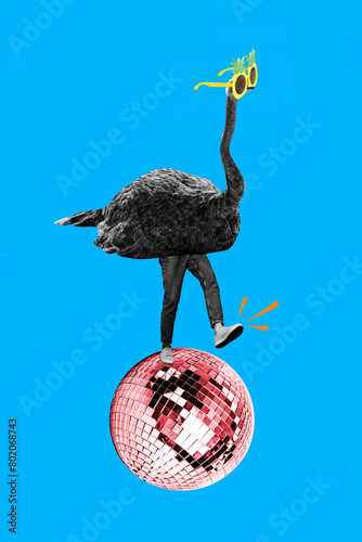 3D photo collage trend artwork sketch image of young bodyless person wear costune ostrich aminal bird wild life walk on disco ball dance photo