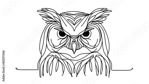 continuous line drawing of a realistic owl head in frontal view