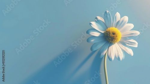 Daisy, serene blue background, magazine cover design, backlit, bird seye view