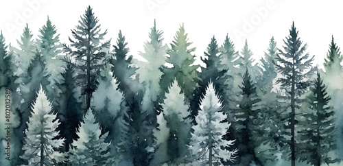 watercolor green spruce and fir trees line on transparent background, perfect for cards crafting, invitation and greetings photo