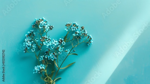 Forgetmenot on vibrant teal background, magazine aesthetic, bright light, high angle view photo