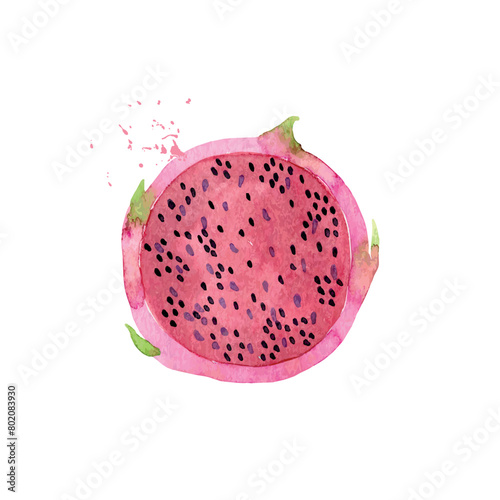 Hand Drawn Watercolor pitaya Fruit. Vector illustration. (ID: 802083930)