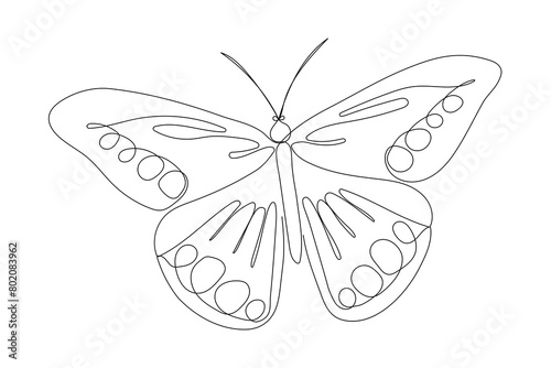 One line butterfly sketch. Single line hand drawn illustration. Summer symbol in doodle vector style