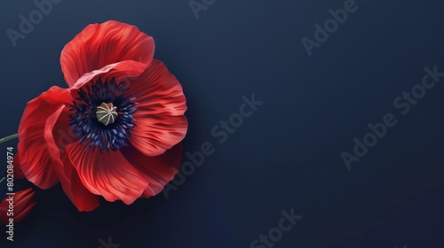 Poppy, deep navy background, cover of magazine, spotlight effect, angled from above
