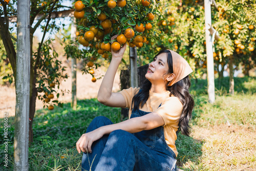 woman is sitting in the grass and picking oranges from a tree © lovelyday12