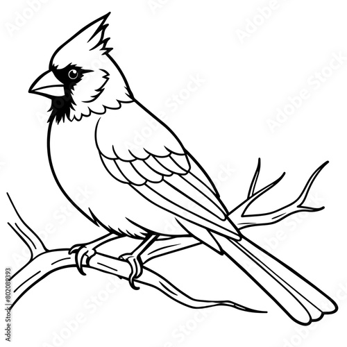 cardinal bird coloring book page vector art illustration  solid white background  21 