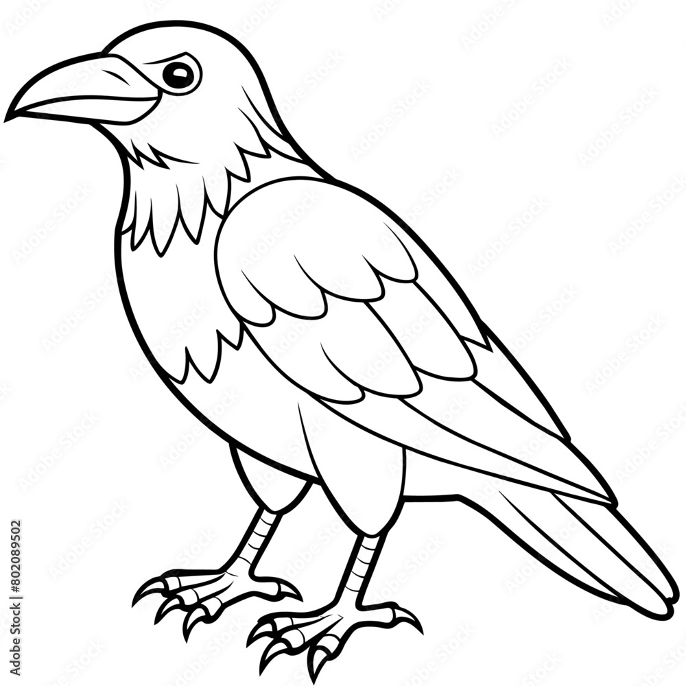 Crow coloring book page vector art illustration (7)