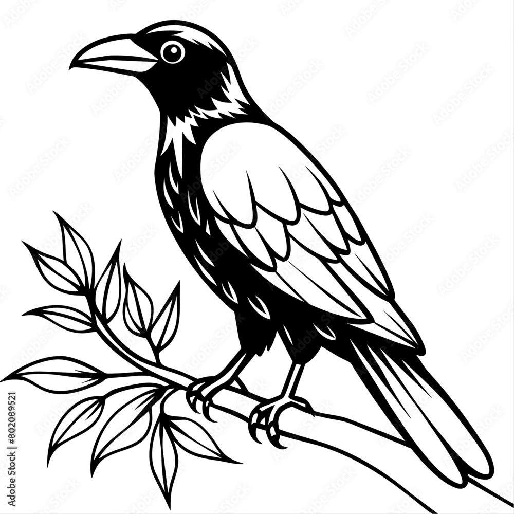 Crow coloring book page vector art illustration (12)