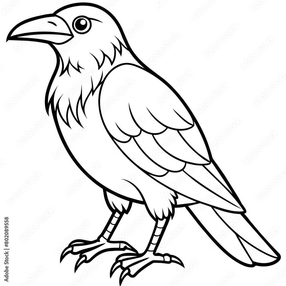 Fototapeta premium Crow coloring book page vector art illustration (19)