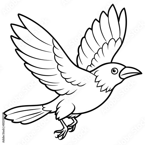 Crow coloring book page vector art illustration (9)