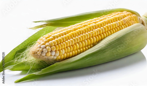 Yellow corn on a white background 