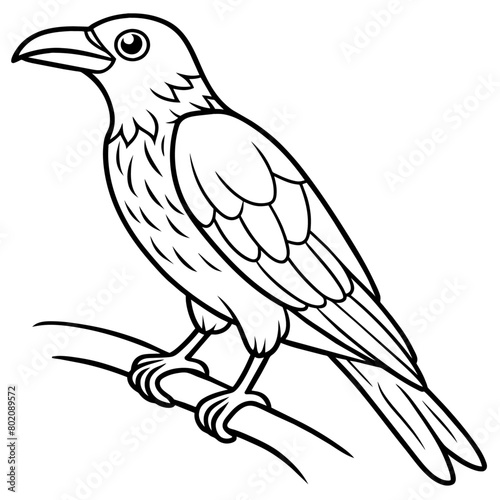 Crow coloring book page vector art illustration (21)