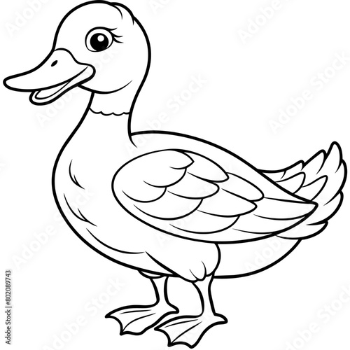 Duck Coloring book page vector art illustration line art (24)