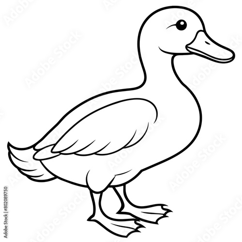 Duck Coloring book page vector art illustration line art (25)
