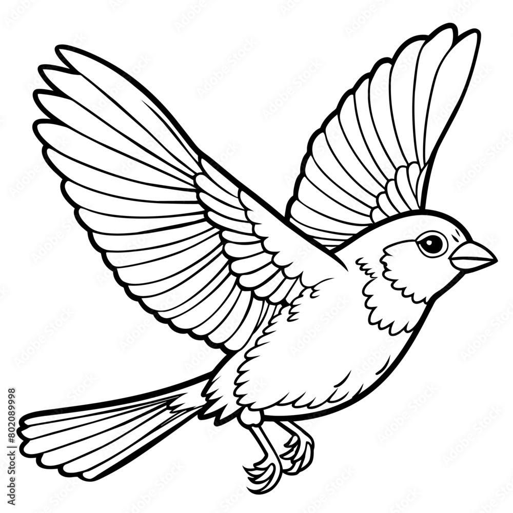 Fototapeta premium finch bird coloring book page vector (5)