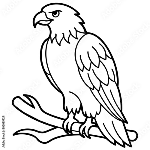 Eagle Coloring book page illustration  28 