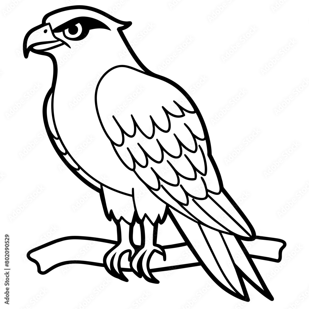 osprey bird oloring book page vector art illustration, solid white background (22) osprey bird oloring book page vector art illustration, solid white background (22)