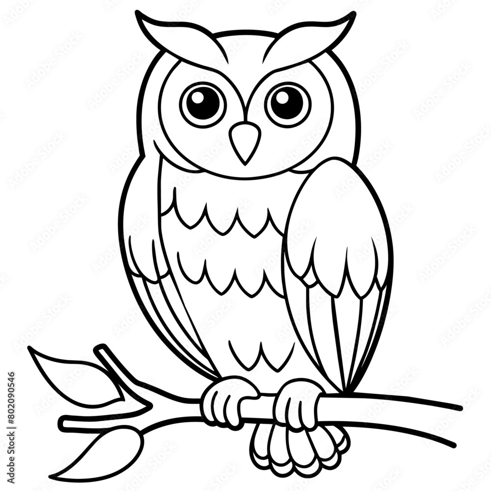 owl coloring book page (3) owl coloring book page (3)