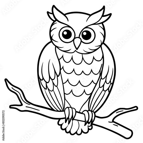 owl coloring book page (2) photo
